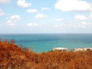 אדמה בכריתים 10