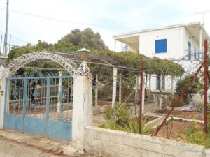 וילה 12 אוויה