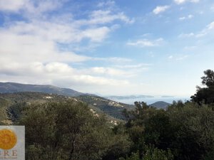 אדמה 167 לפקדה
