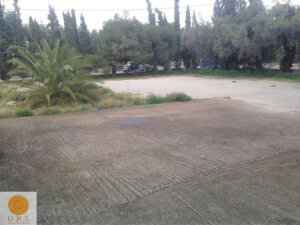 אדמה 06 אתונה