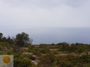 אדמה 198 לפקדה