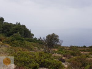 אדמה 231 לפקדה