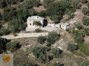 וילה מסורתית 28 פיליון