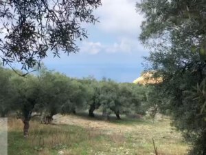 אדמה 241 לפקדה