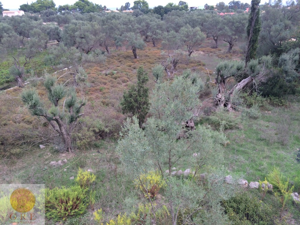 בניין 48 לפקדה – תמונה 5