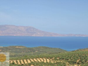 אדמה 65 כרתים