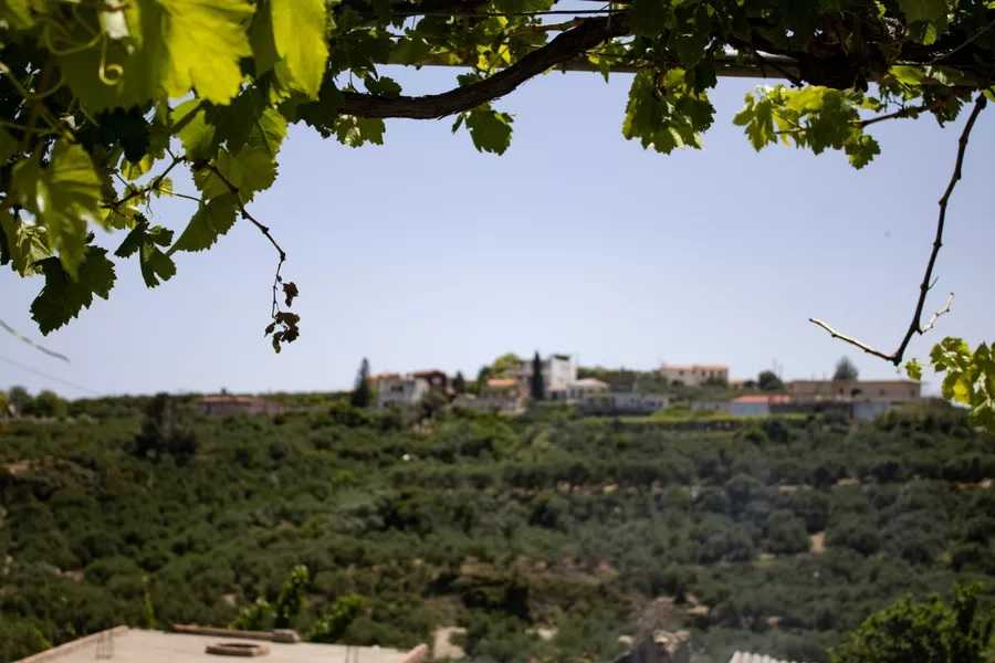 בית מסורתי 61 כרתים – תמונה 2