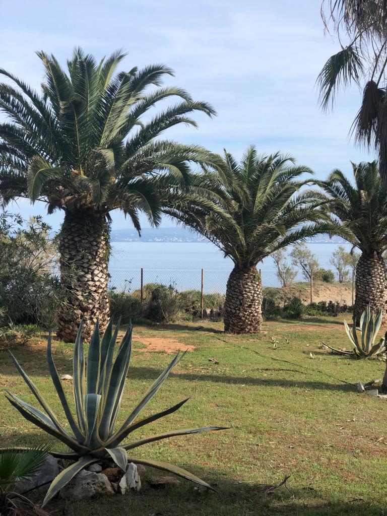 בית מסורתי 50 אוויה – תמונה 3