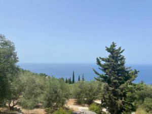 אדמה 348 לפקדה