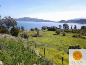 אדמה 01 פולופונז