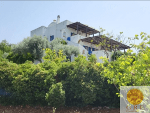 בית מסורתי 55 אוויה